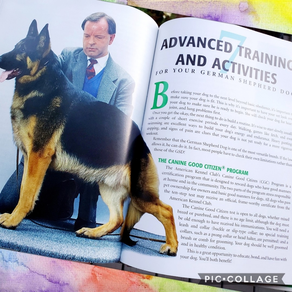 German Shepherd Dog Book + Dog Show Origami - Picture 5 of 12